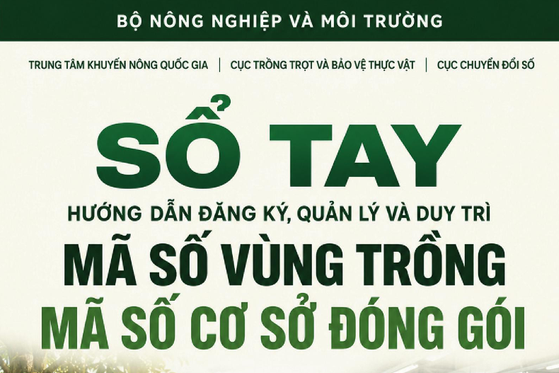Tóm tắt hướng dẫn đăng ký, quản lý và duy trì mã số vùng trồng, mã số cơ sở đóng gói (Thực hiện theo Nghị định số 38/2026/NĐ-CP và Nghị quyết số 36/2026/NQ-CP)