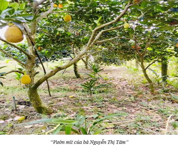 Nguồn vốn tín dụng chính sách – "Đòn bẩy" bứt phá kinh tế hộ gia đình tại phường Đông Thành